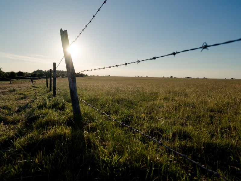Exploring the local&nbsp;Downs