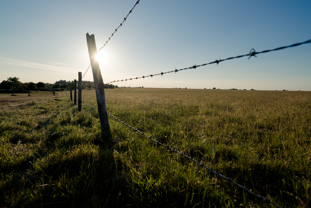 Exploring the local&nbsp;Downs