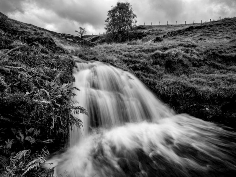 Where have the days&nbsp;gone