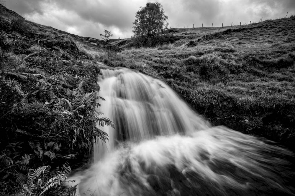 Where have the days&nbsp;gone